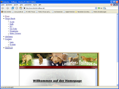 firefox1.jpg
