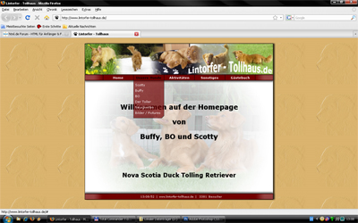 firefox2.jpg